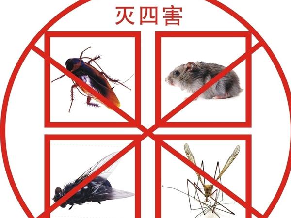 什么是病媒生物